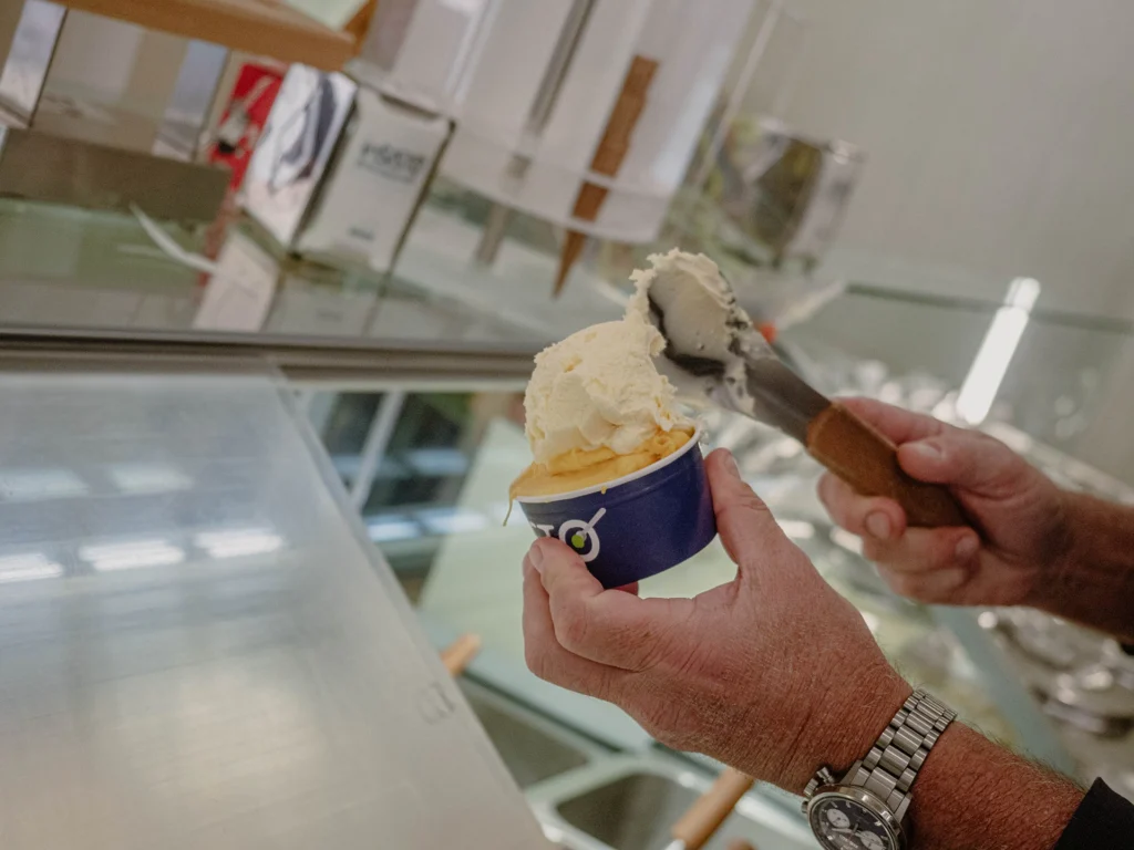 coppetta di gelato